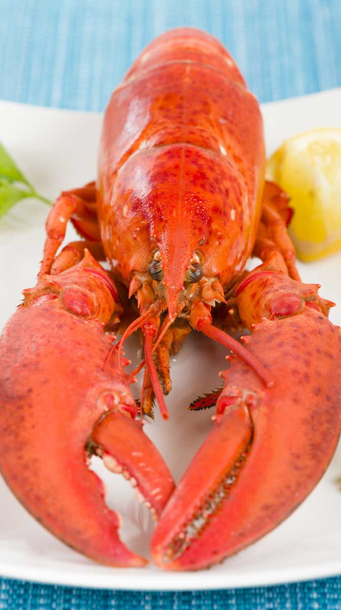 unlimited-lobster - Crab Daddy's Calabash Seafood Buffet Restaurant