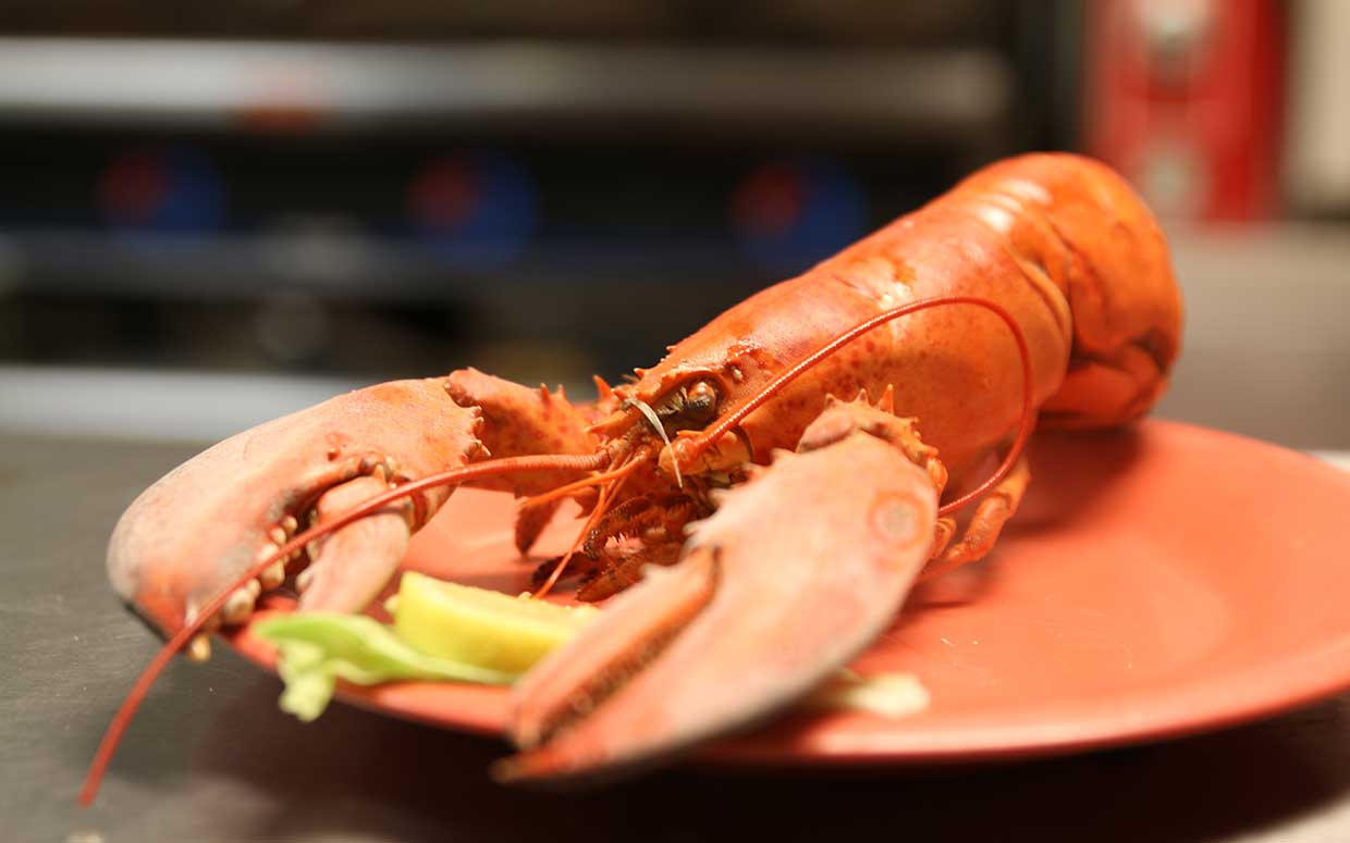 lobsterheader Crab Daddy's Calabash Seafood Buffet Restaurant